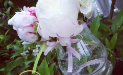 Peonie rosa con un tocco di verde acido.