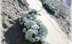 Fiori lungo la passerella.
