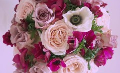 Flowers lover!!!
