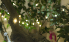 Lights!!!