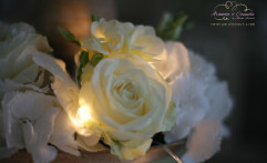 Flowers & Lights!