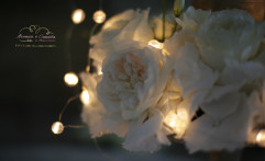 Special flowers!